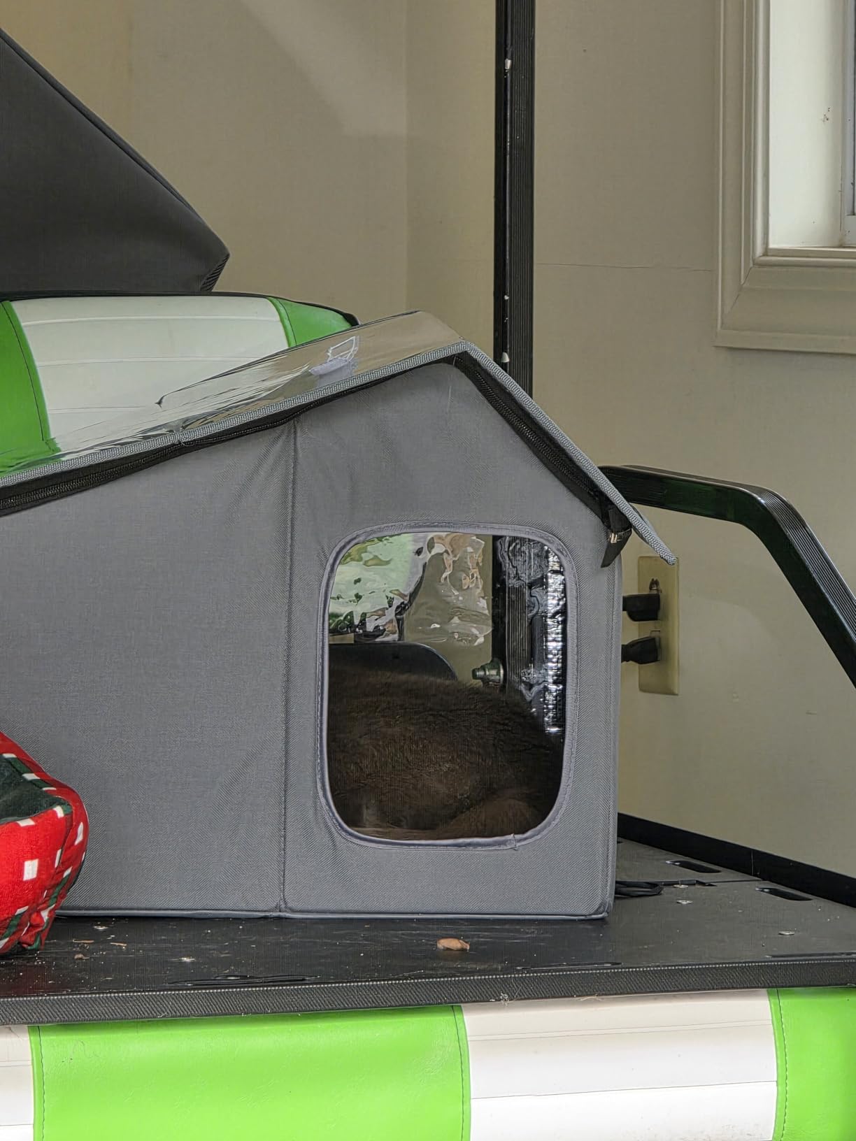 Weatherproof Heated Cat Houses for Outdoor Cats - Insulated Cat Shelter for Winter with Thermostatic Heating Pad and Escape Door, Warm Outside Pet House Gift for 1-2 Feral Cats (Medium) customer photo 2