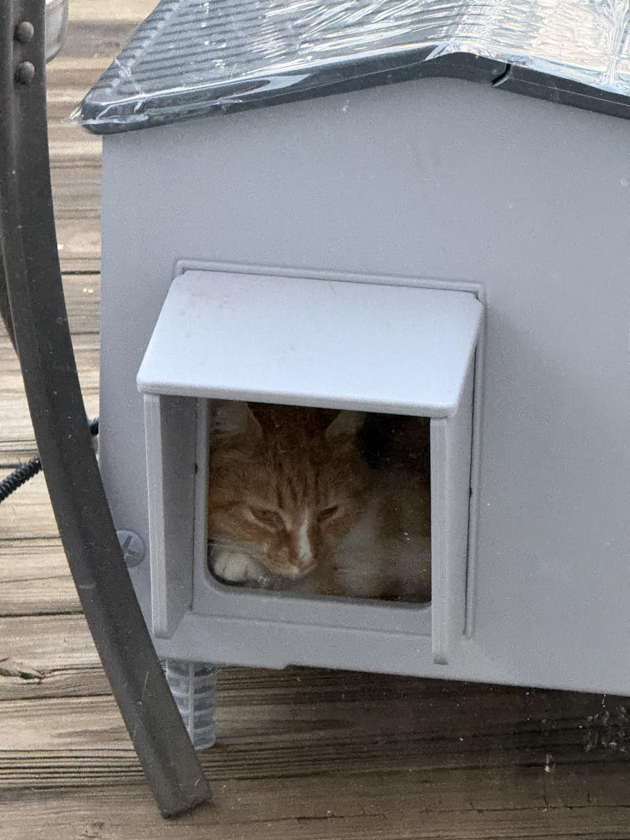 Large Heated Cat House for Outside Cats in Winter, Lslpin Weatherproof & Insulated Outdoor Feral Cat House with Escape Door,Outside Cats House Shelter with Heating Pad 21.6×16.9×17.5 customer photo 1