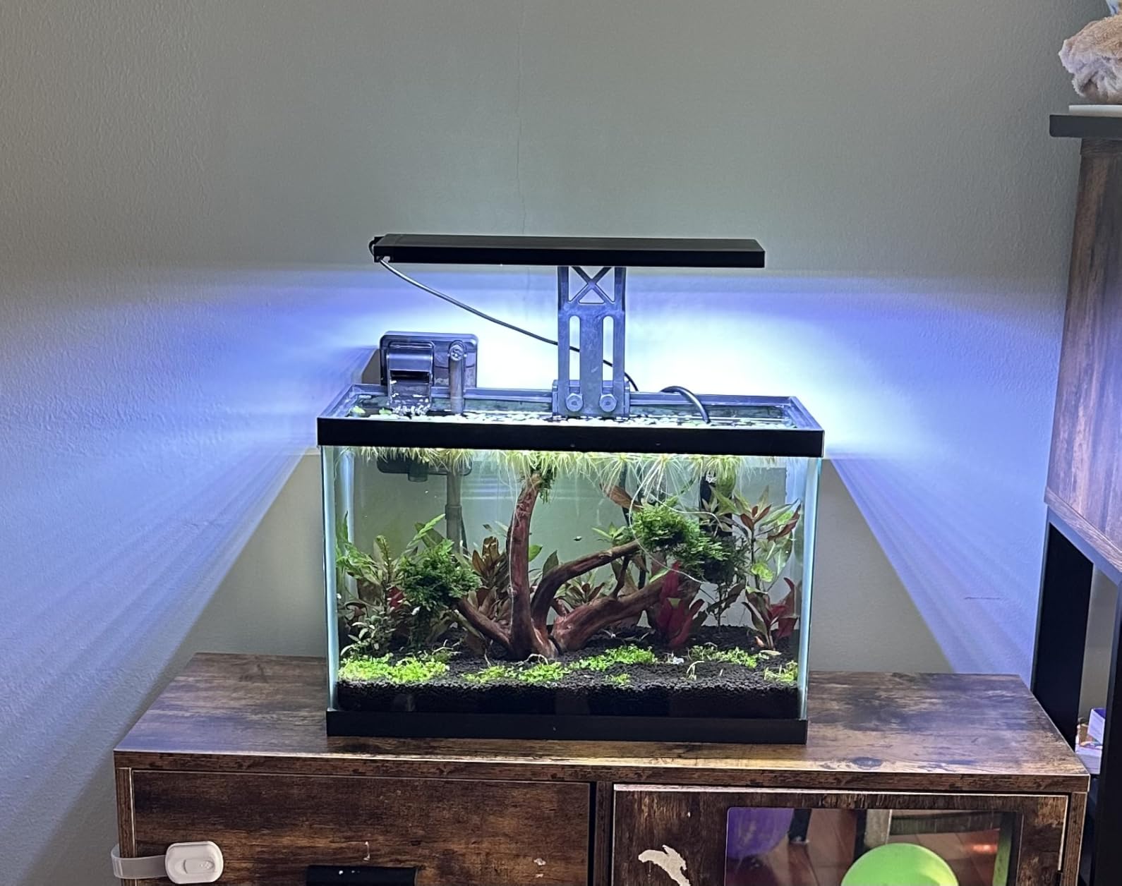 SEAOURA Clip On Aquarium Light for Plants-24/7 Fish Tank Light, 12-20 Inch customer photo 1