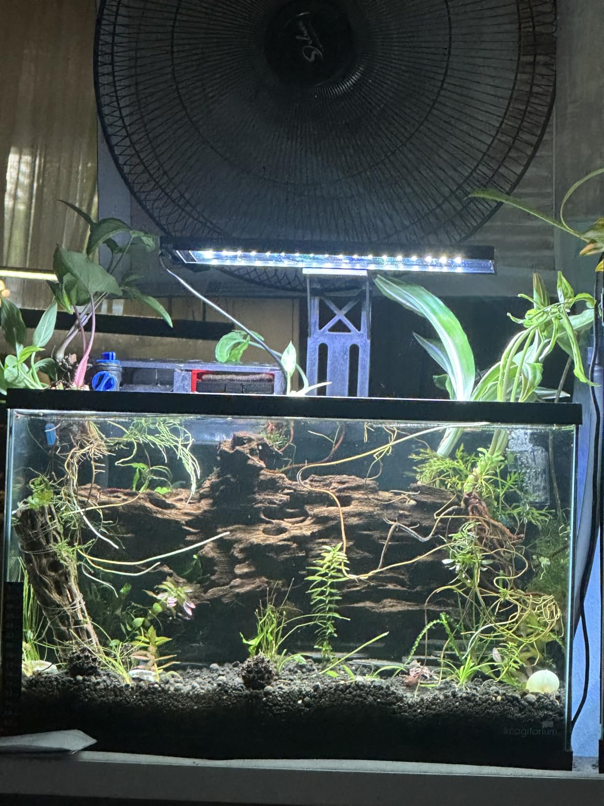 SEAOURA Clip On Aquarium Light for Plants-24/7 Fish Tank Light, 12-20 Inch customer photo 2