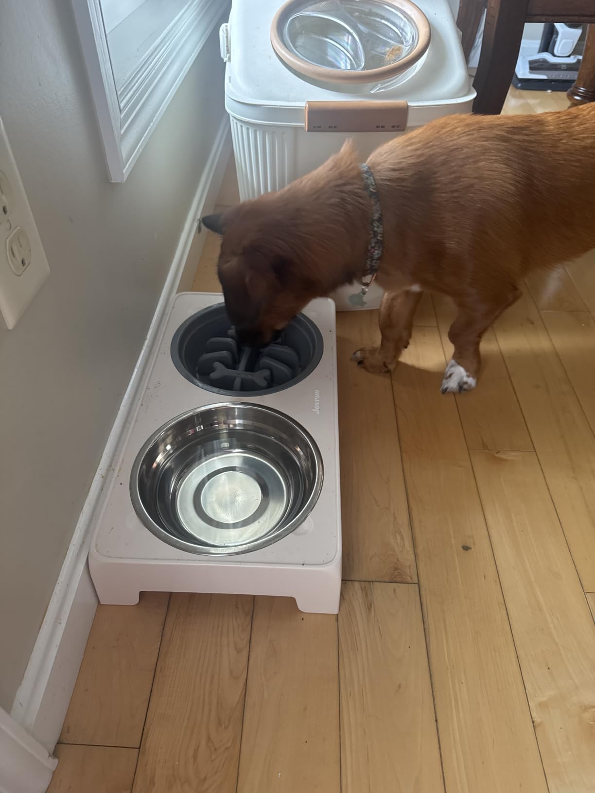 Jovrun Elevated Dog Bowls for Medium Large Size Dogs, Non-Slip Dog Feeder with 1*Stainless Steel Dishes & 1*Slow Feeder Bowl, 5 Heights Adjustable Raised Bowls to 3.15″-8.66″-9.84″-11.02″-12.2″ customer photo 1
