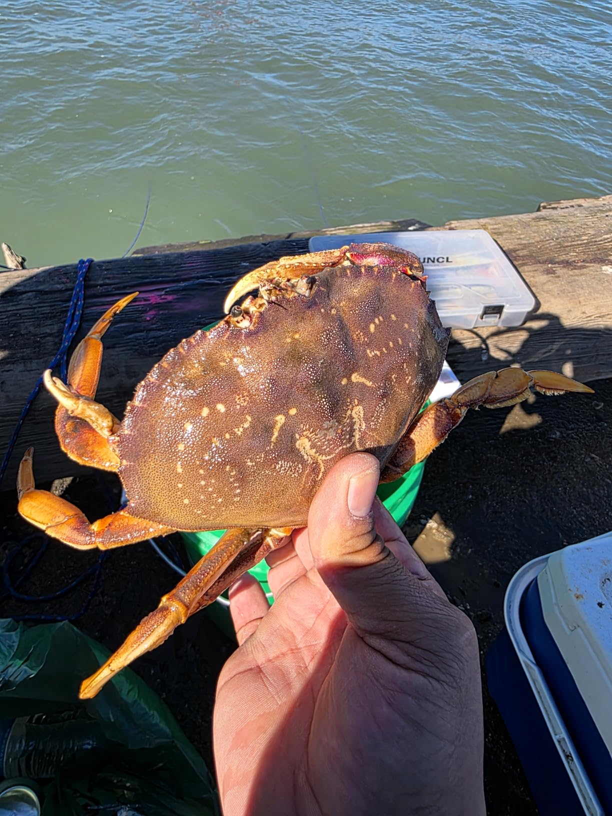 Fishernomics Handcrafted Castable Crab Trap for Fishing Pole, US Manufactured Premium Loops, Highly Durable Crab Trap for Crabbing Blue, Dungeness, Red & Rock Crabs (AERO) customer photo 1