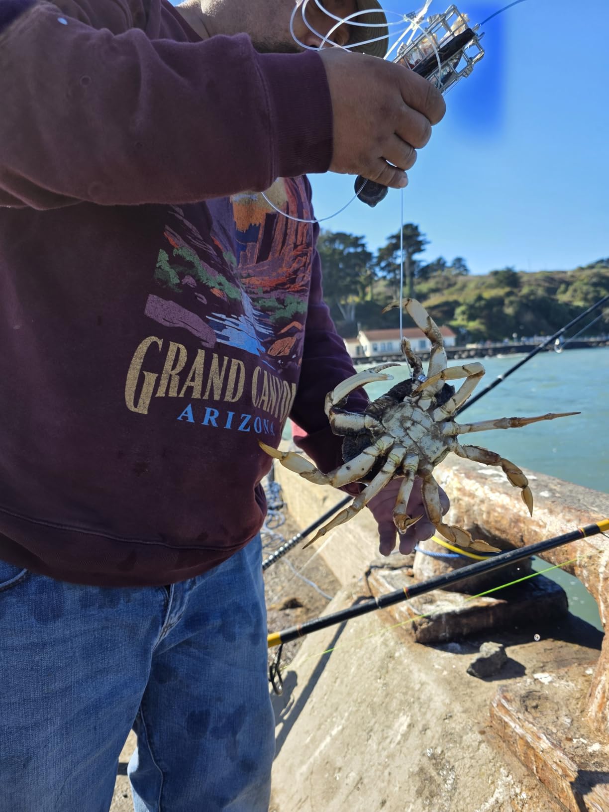 Fishernomics Handcrafted Castable Crab Trap for Fishing Pole, US Manufactured Premium Loops, Highly Durable Crab Trap for Crabbing Blue, Dungeness, Red & Rock Crabs (AERO) customer photo 2