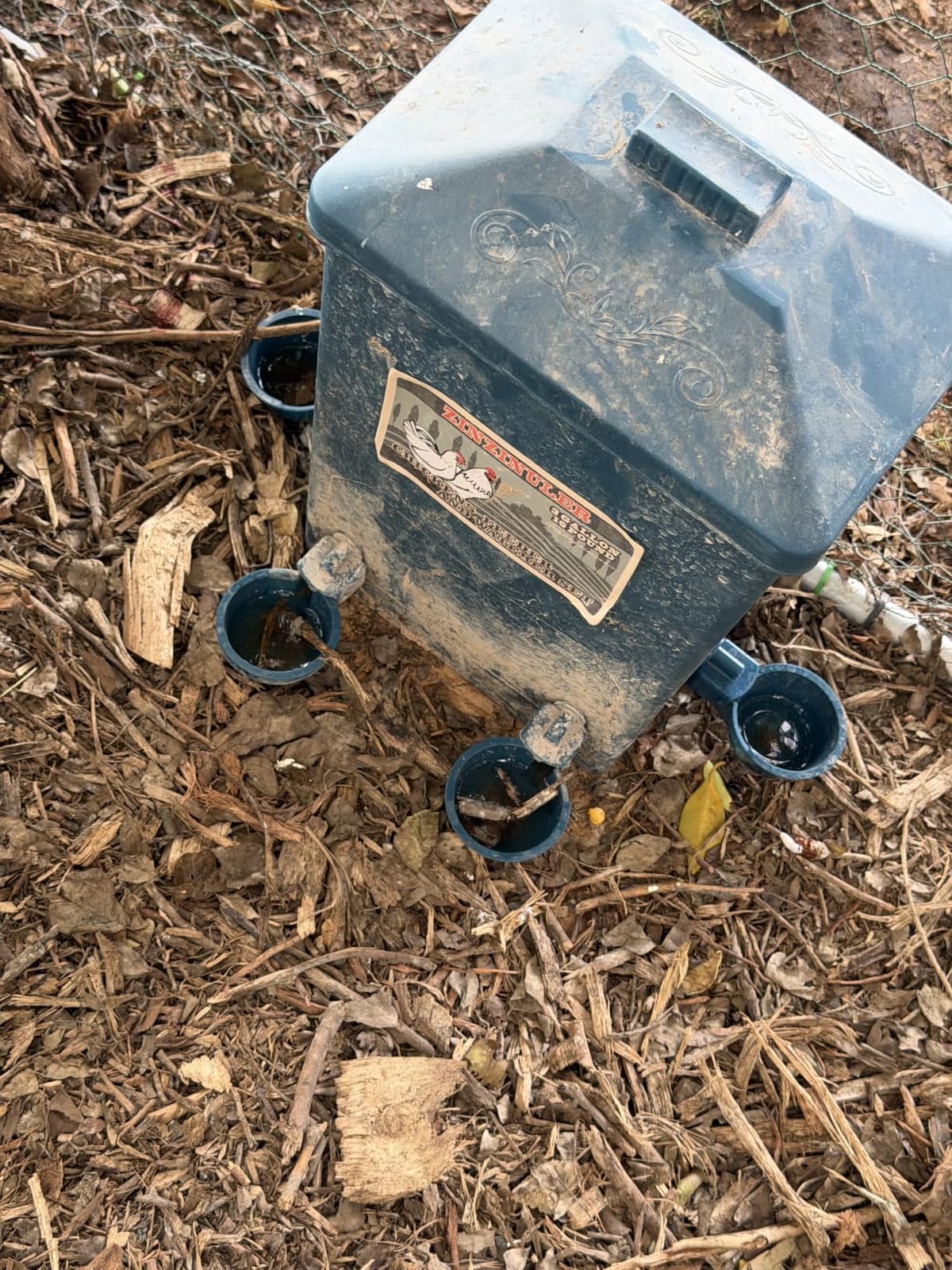 Automatic Port Chicken Feeder and Cup Waterer Set - Chicken Coop Accessories, No Waste Poultry Feeder, 3 Gallon/16 Pounds customer photo 2