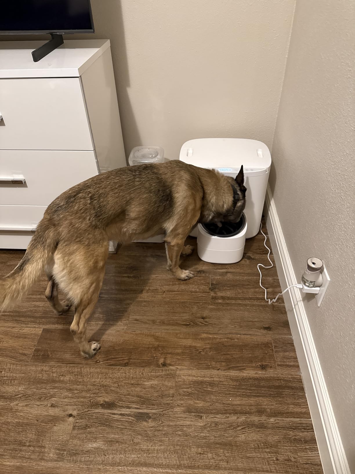 Dokoo Automatic Dog Feeder for Large Breeds, 15L/63 Cups Vacuum-Sealed customer photo 2