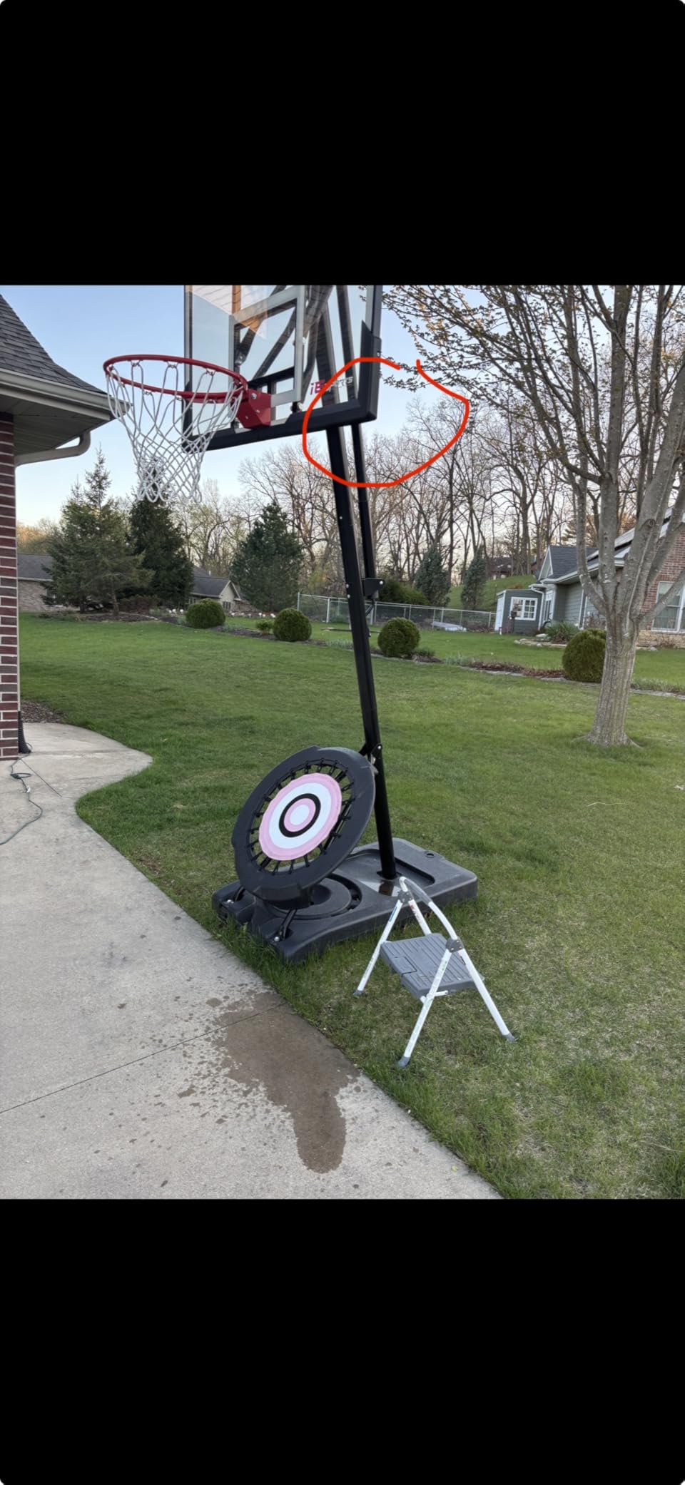IE Sports Portable Basketball Hoop - Indoor and Outdoor Hoops Game Equipment for Backyard, Driveway, and Garage customer photo 1