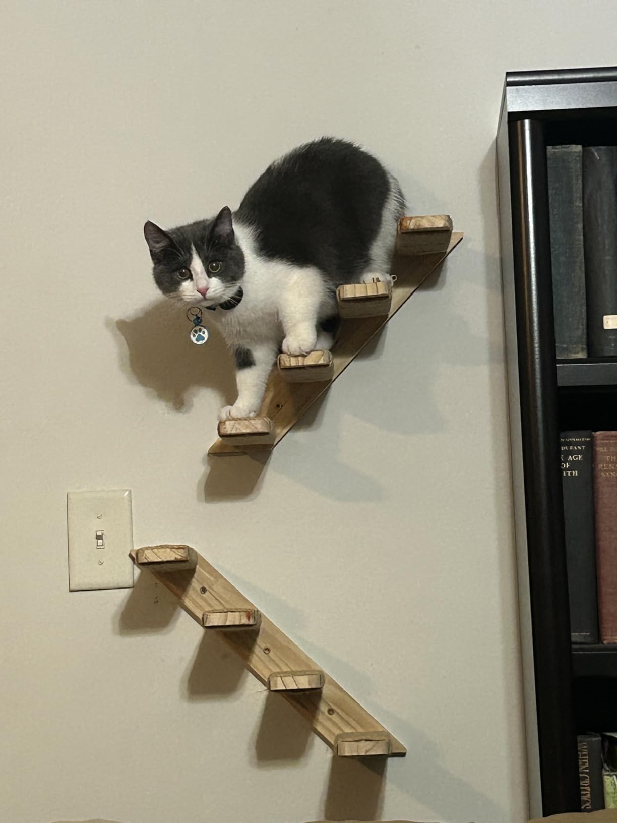 2 Pack 4 Steps Cat Wall Shelves and Stairs with Sisal Rope.Cat Wall Steps/Ladder Furniture ＆ cat Tree Supplies(Catstairs 2Pack-4Steps) customer photo 2