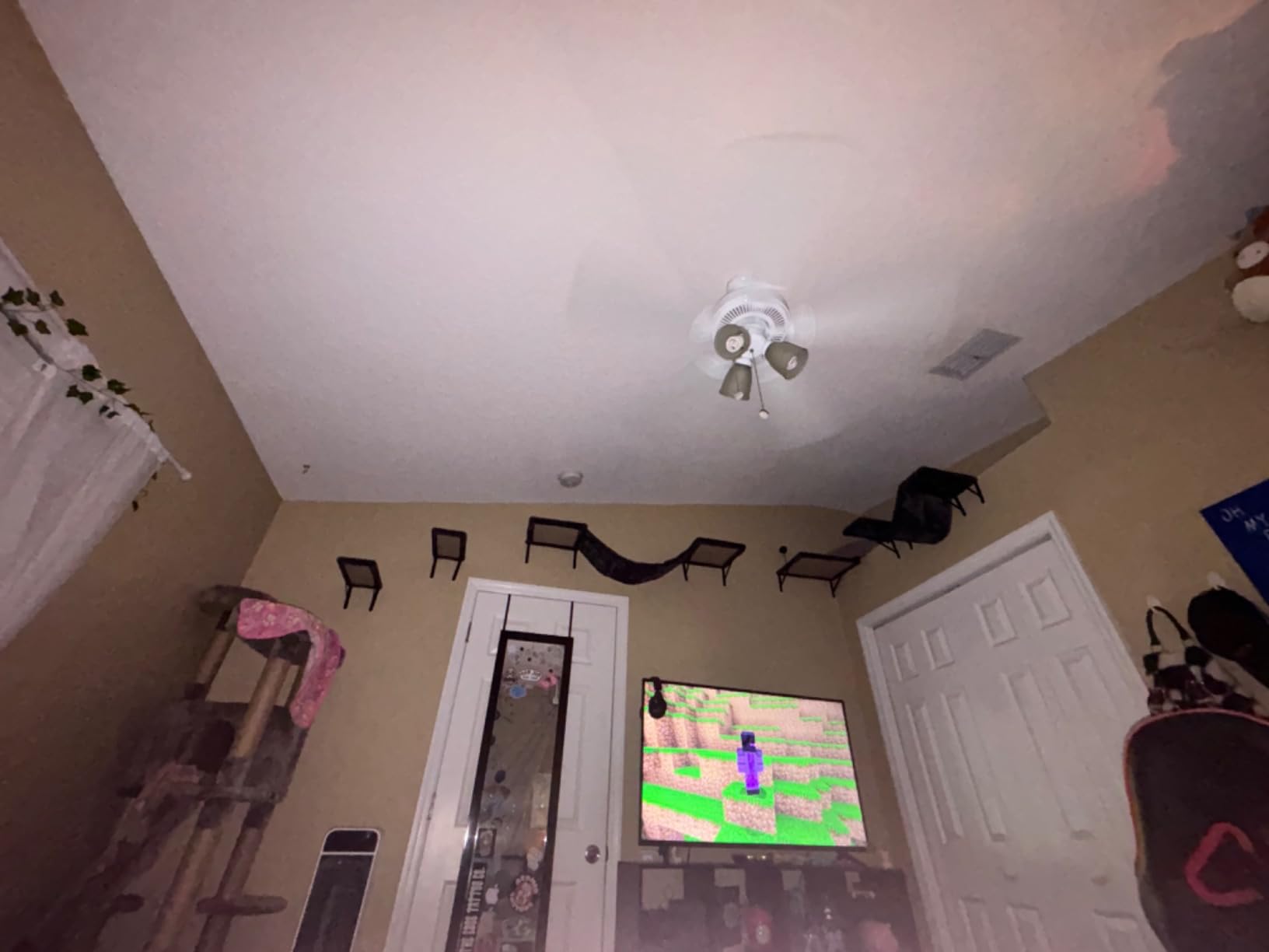 Cat Wall Shelves, Space-Saving Wood Cat Wall Furniture for Indoor Cats customer photo 1