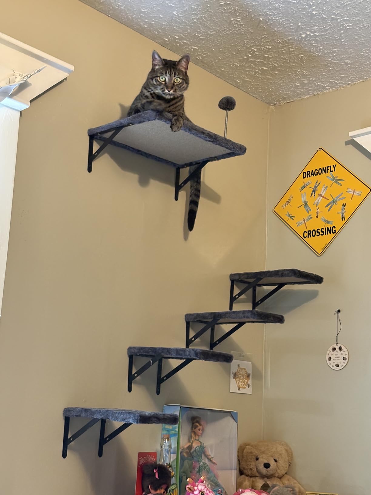 Cat Wall Shelves, Space-Saving Wood Cat Wall Furniture for Indoor Cats customer photo 2