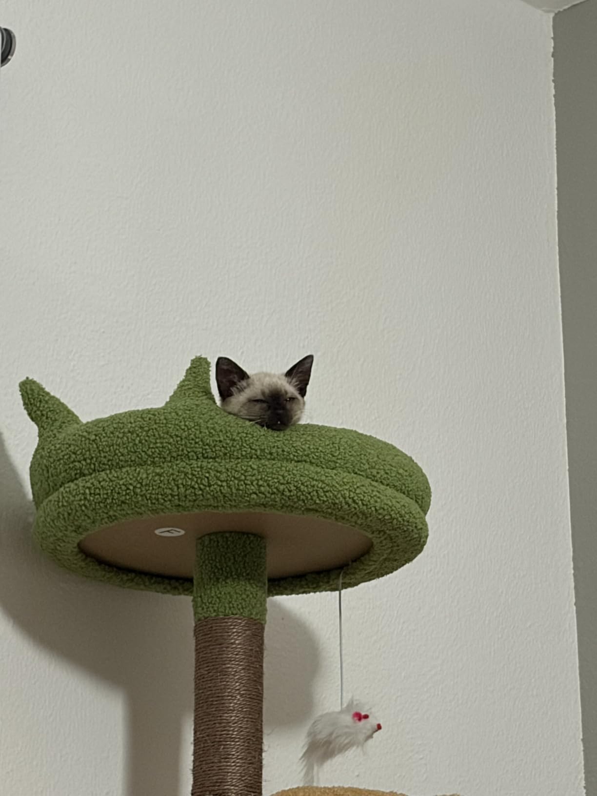Globlazer S72 Heavy Duty Cat Trees for Large Cats 20 lbs+, Light Grey customer photo 1