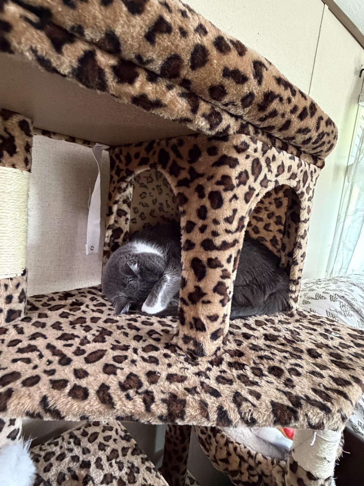 Globlazer S72 Heavy Duty Cat Trees for Large Cats 20 lbs+, Light Grey customer photo 2
