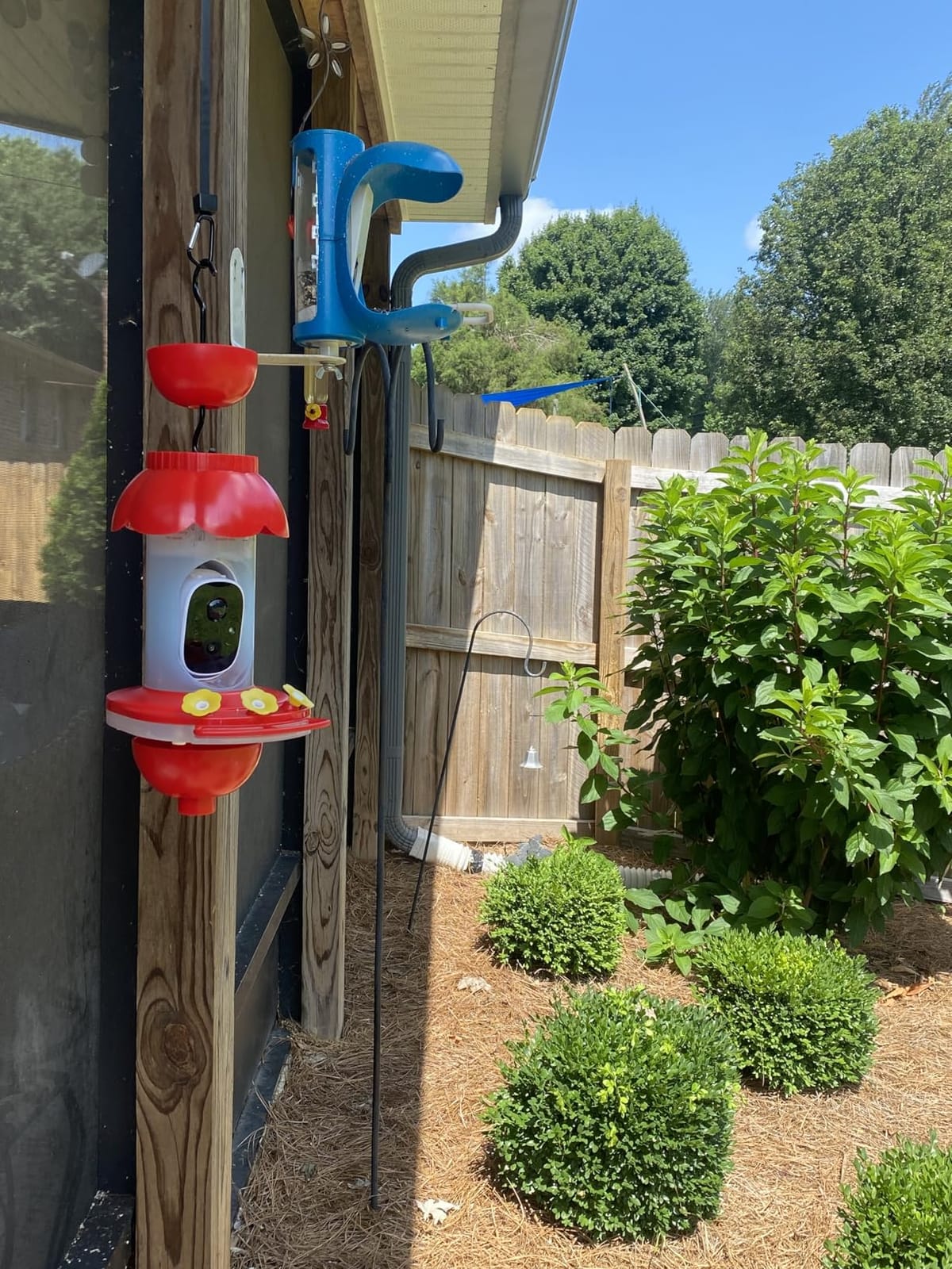Smart Hummingbird Feeder with Camera Solar Powered, 2K Live View Humming Bird Watching Camera, AI Identify, Instant Notifications, Ant and Bee Proof, 3 Color Feeding Ports,Hanging on Porch Patio customer photo 1