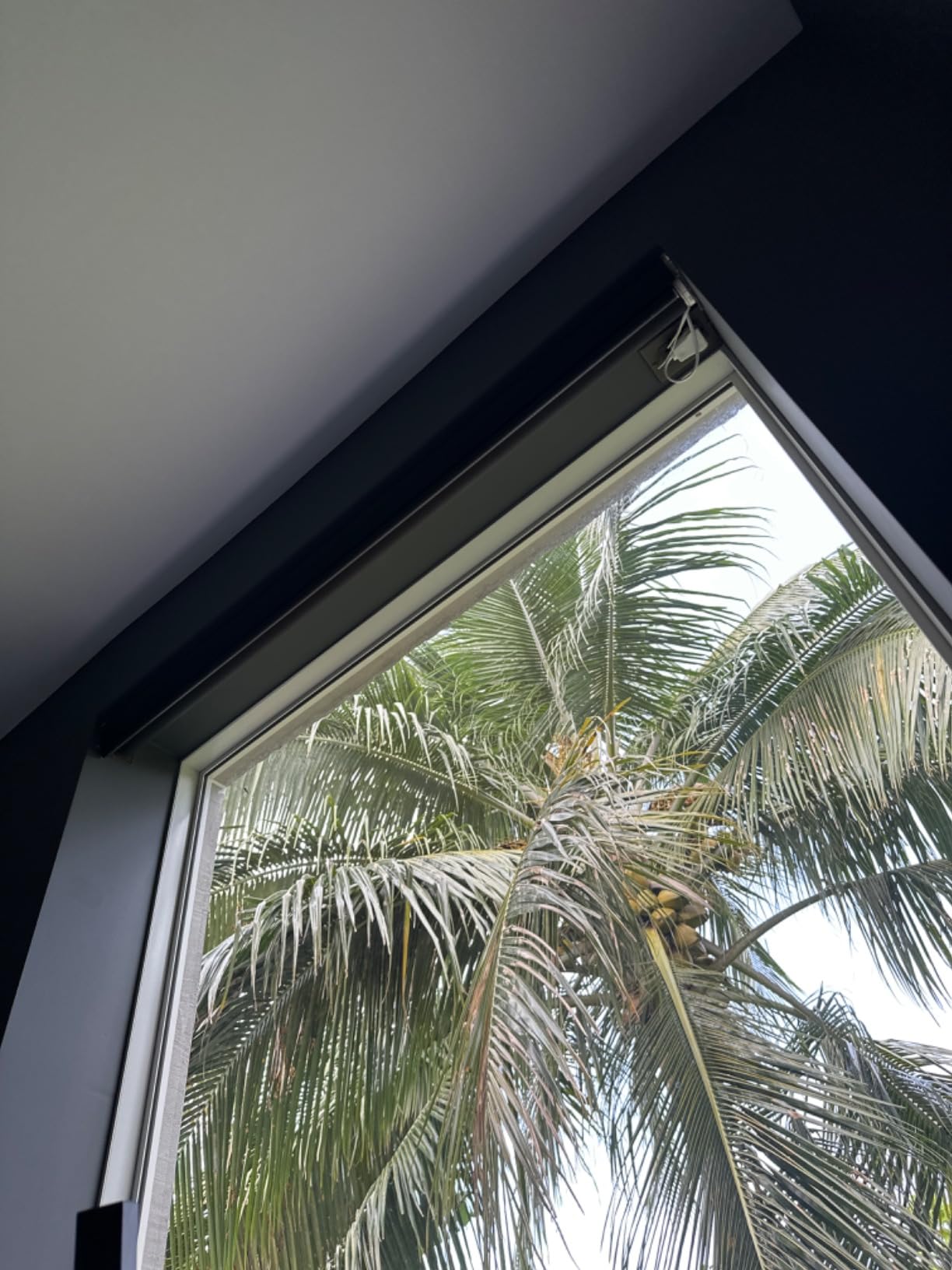 Graywind Motorized Roller Shade 100% Blackout Work with Alexa Google Textured Fabric Remote Control Hardwired Window Shades Window Blinds, Customized Size (Weaving Cloud) customer photo 1