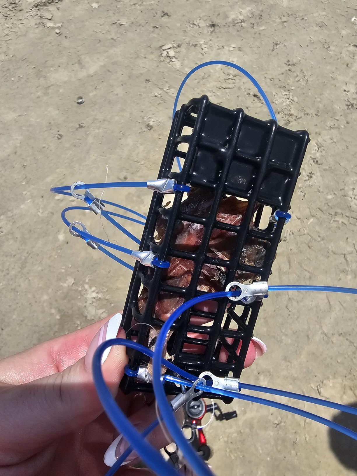 AirFly Castable Crab Trap for Pier, Jetty & Surf - 6-Loop Fishing Pole Crab Trap | Dungeness, Blue & Rock Crabs | Lead-Free | CA, OR, WA, MD & FL, Made in USA customer photo 1