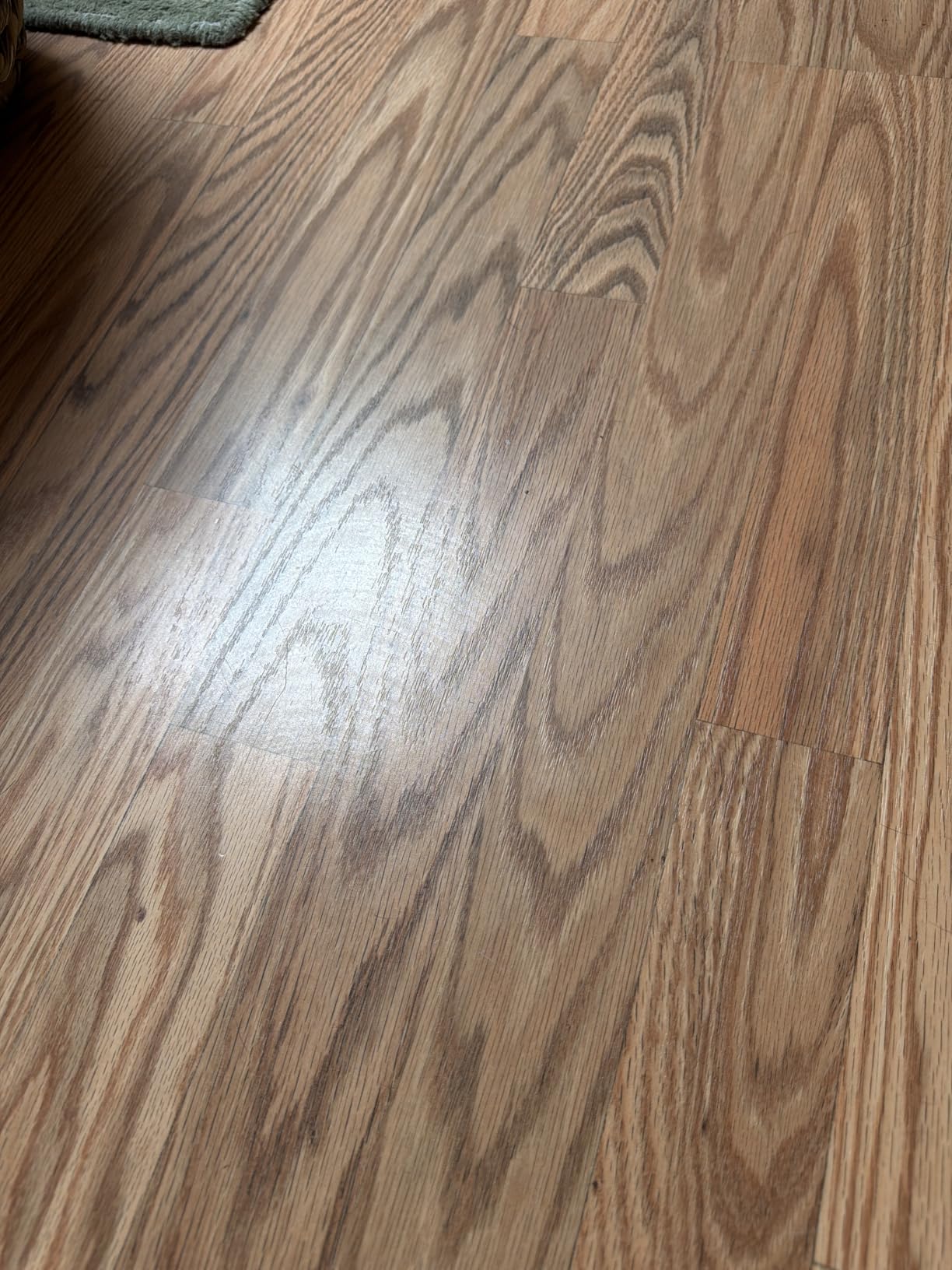 Shark Steam & Scrub Steam Mop, All-in-One Hard Floor Cleaner, Grey, S8001 customer photo 1