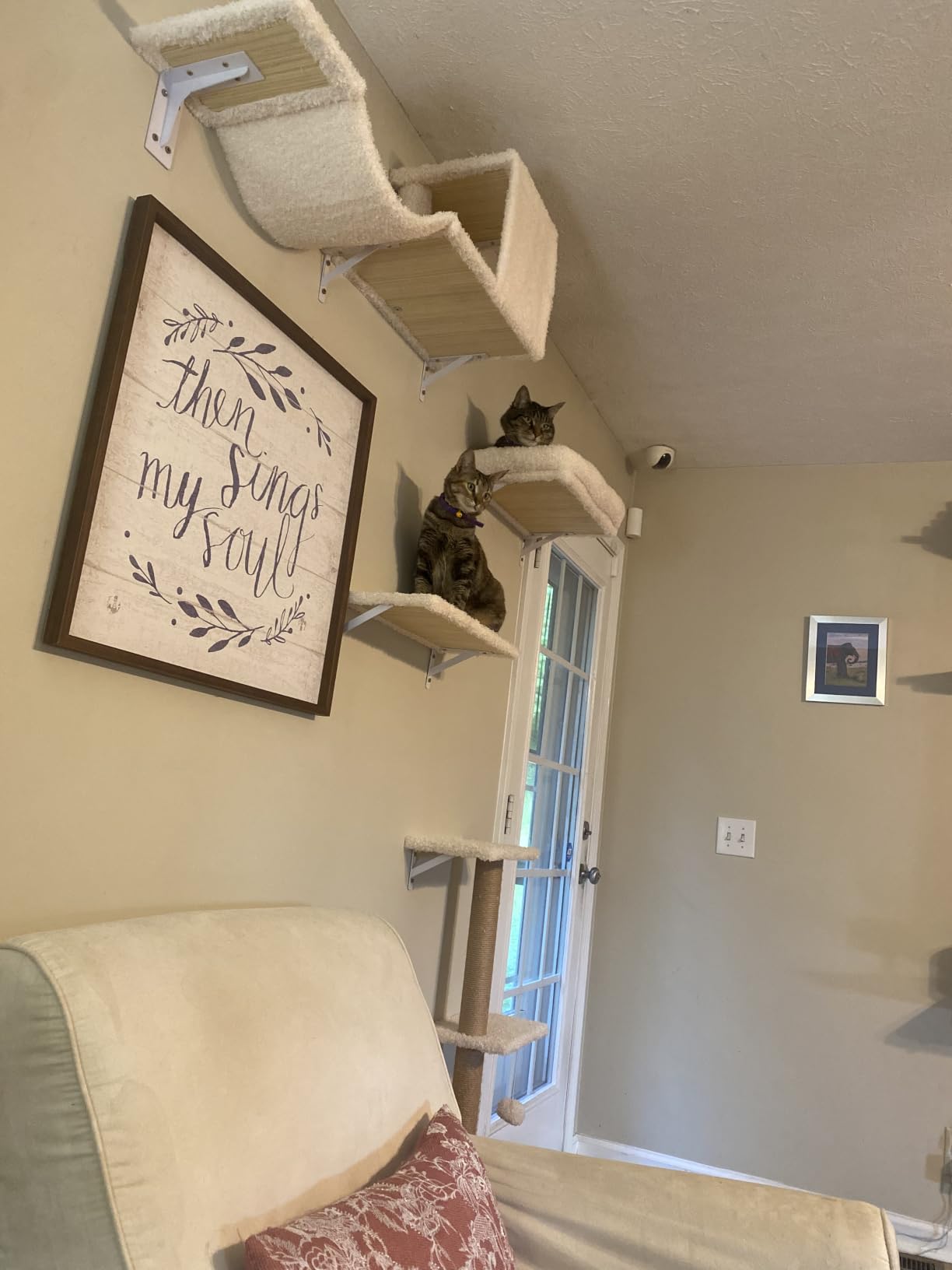 FUKUMARU Cat Wall Shelves, 4 in 1 Set, Grey customer photo 2