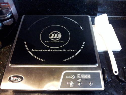 Empava Flex Induction Cooktop 2 Burner, Horz. Countertop/Drop-in, Plug in customer photo 2