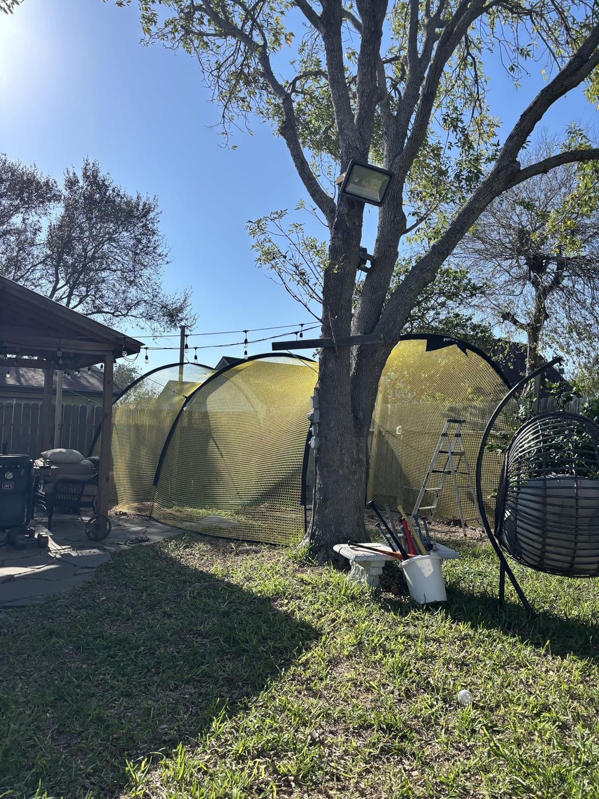 Apex Sports Portable 22ft x 12ft x 8ft Baseball & Softball Batting Cage with Pitching Machine Hole, 3ply 1.25'' Yellow Netting, Secure Steel Poles, 12.7MM Fibreglass Poles, Carry Bag Included customer photo 2