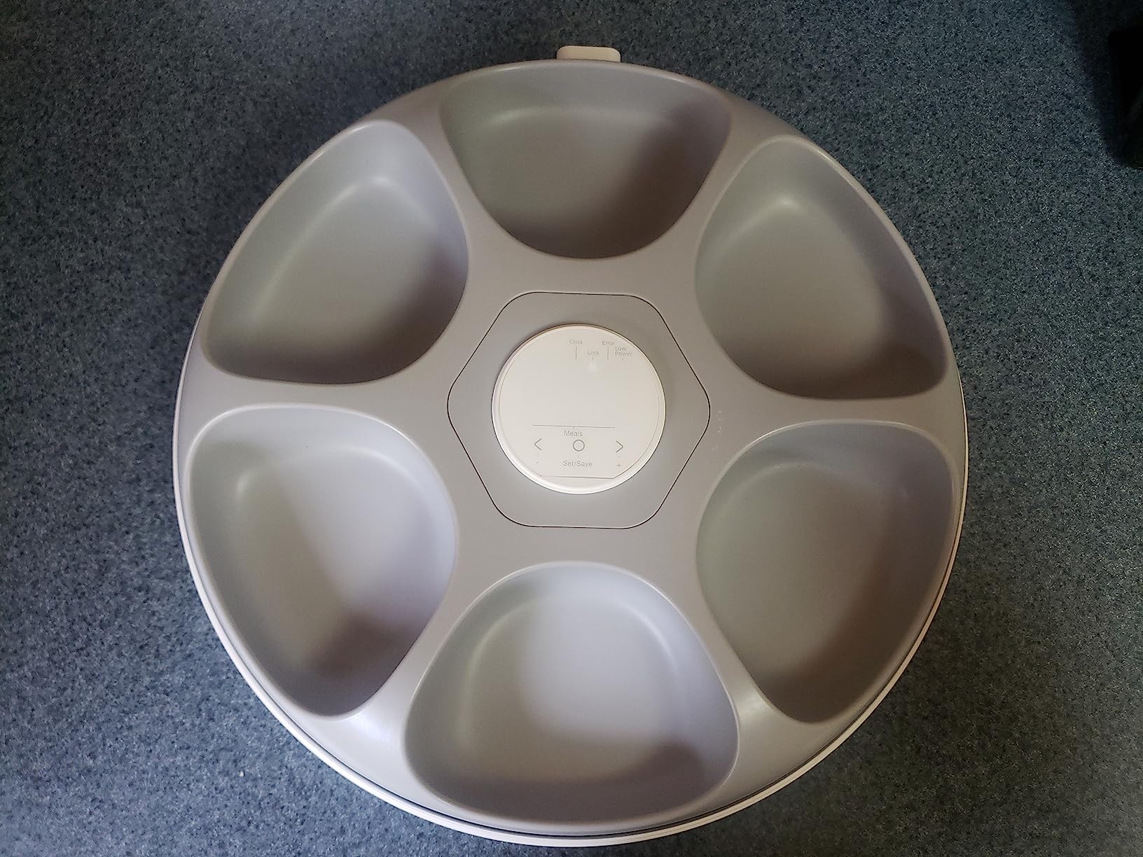 iPettie Donut Frost WiFi 6 Meal Automatic Wet Food Feeder with Ice Packs customer photo 2