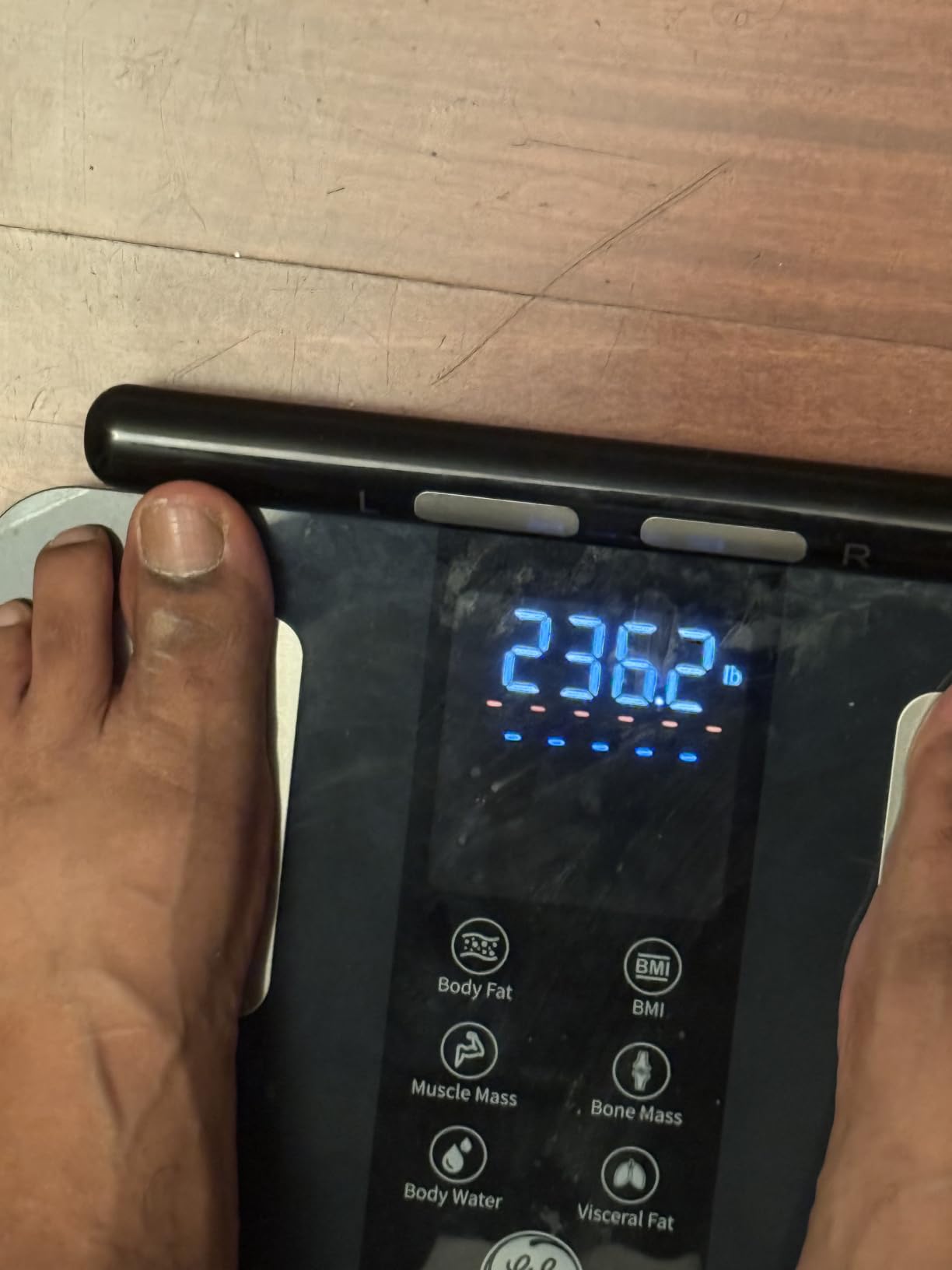 GE Smart Scale for Body Weight: Full Body Composition Analyzer, 50+ Metrics customer photo 2