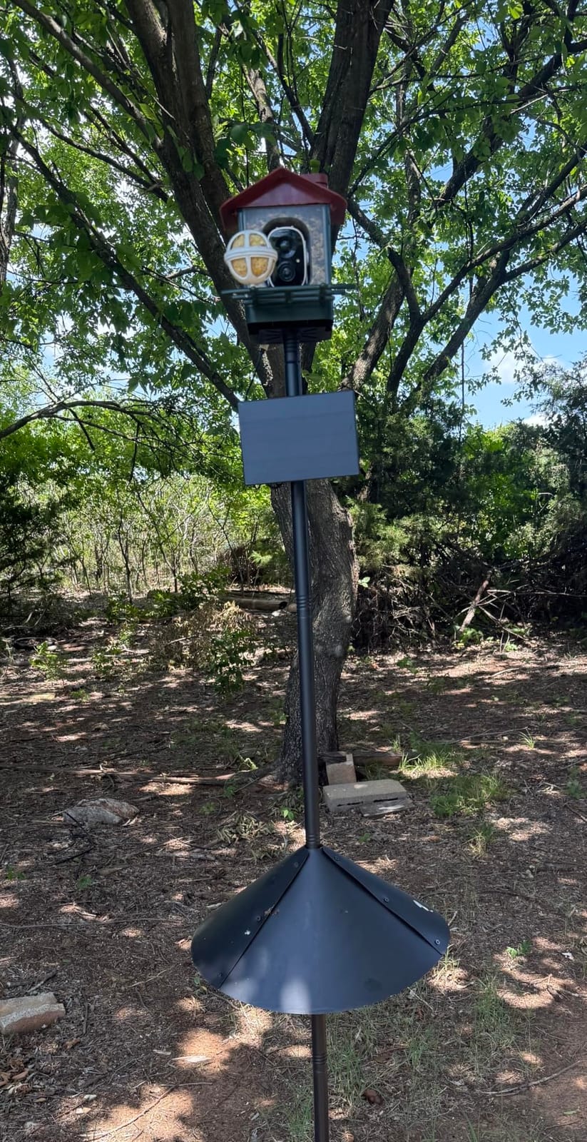 Smart Bird Feeder with Camera Outdoor: Solar Birdfeeder Cam for Outside Garden - 2K HD Live Video Camera AI Recognition Visible Window Auto Capture - Bird Lover Gifts customer photo 1