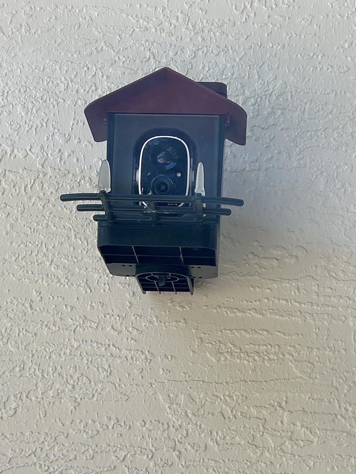 Smart Bird Feeder with Camera Outdoor: Solar Birdfeeder Cam for Outside Garden - 2K HD Live Video Camera AI Recognition Visible Window Auto Capture - Bird Lover Gifts customer photo 2