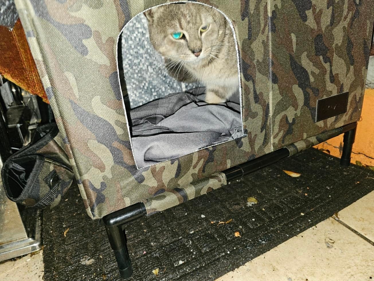 Heated Cat House,Removable Weatherproof Cat Houses for Outdoor Cats with Heating Pad (Gray, Medium) customer photo 1