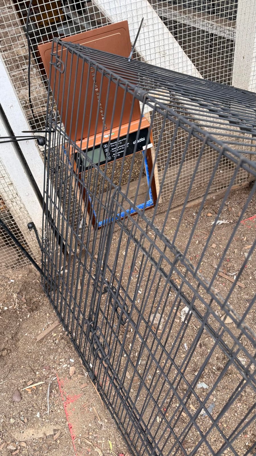 Chicken Coop Door, Solar Powered Automatic with LCD Display, Light Sensor customer photo 1