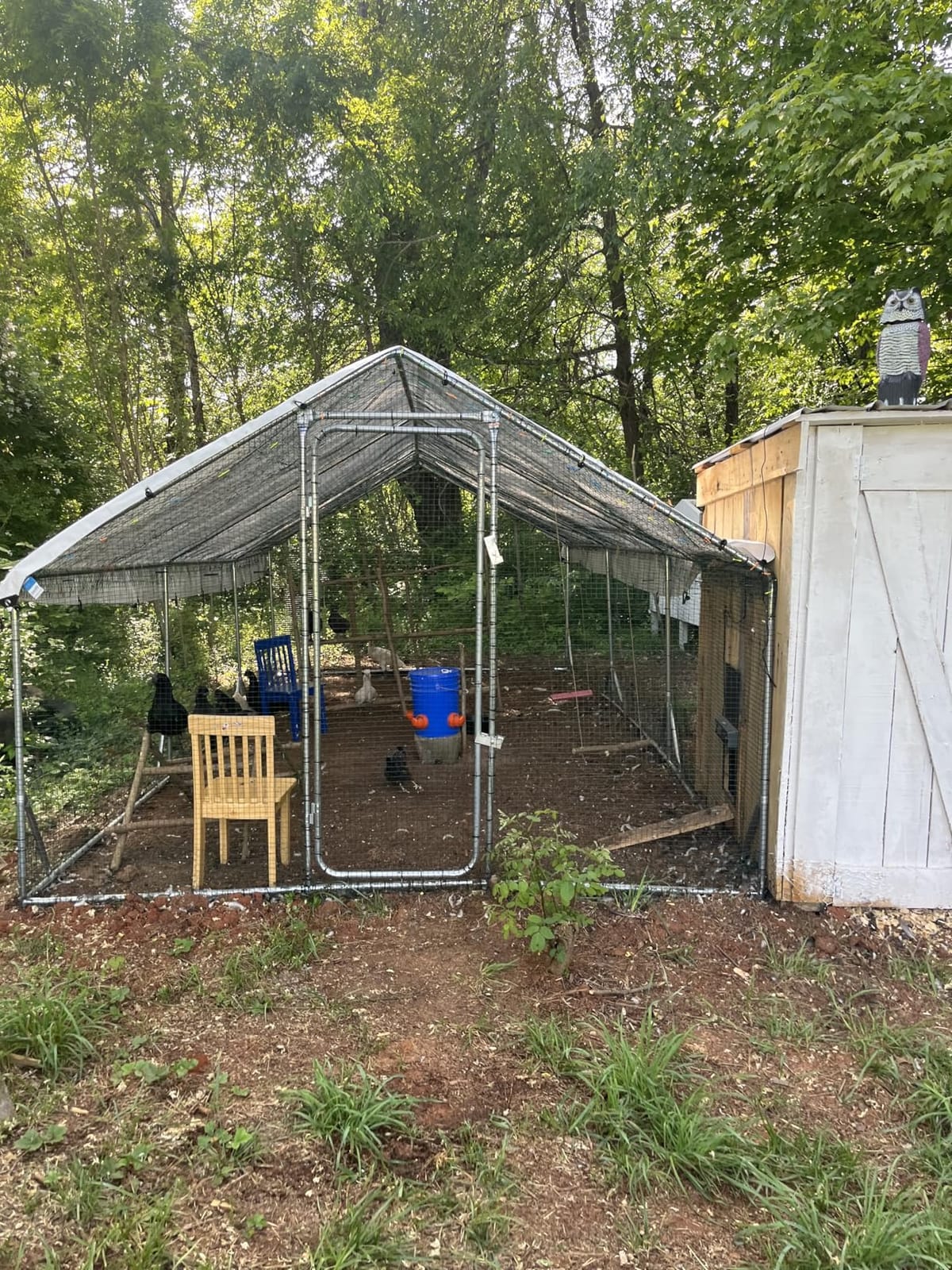 Chicken Coop Door, Solar Powered Automatic with LCD Display, Light Sensor customer photo 2