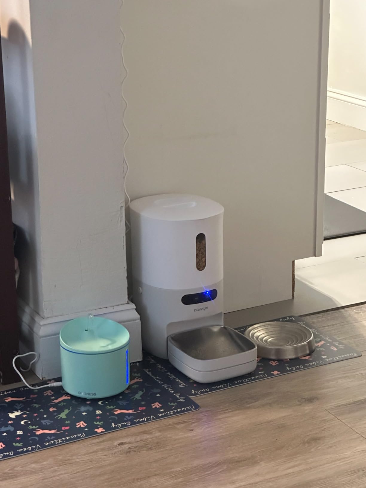 Pawsync Automatic Cat Feeder, WiFi & Smart Scale, Remote Feeding customer photo 1