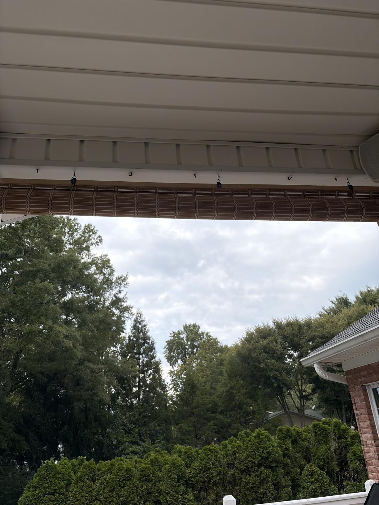 Bamboo Blinds for Interior Windows, Custom Bamboo Shades customer photo 1