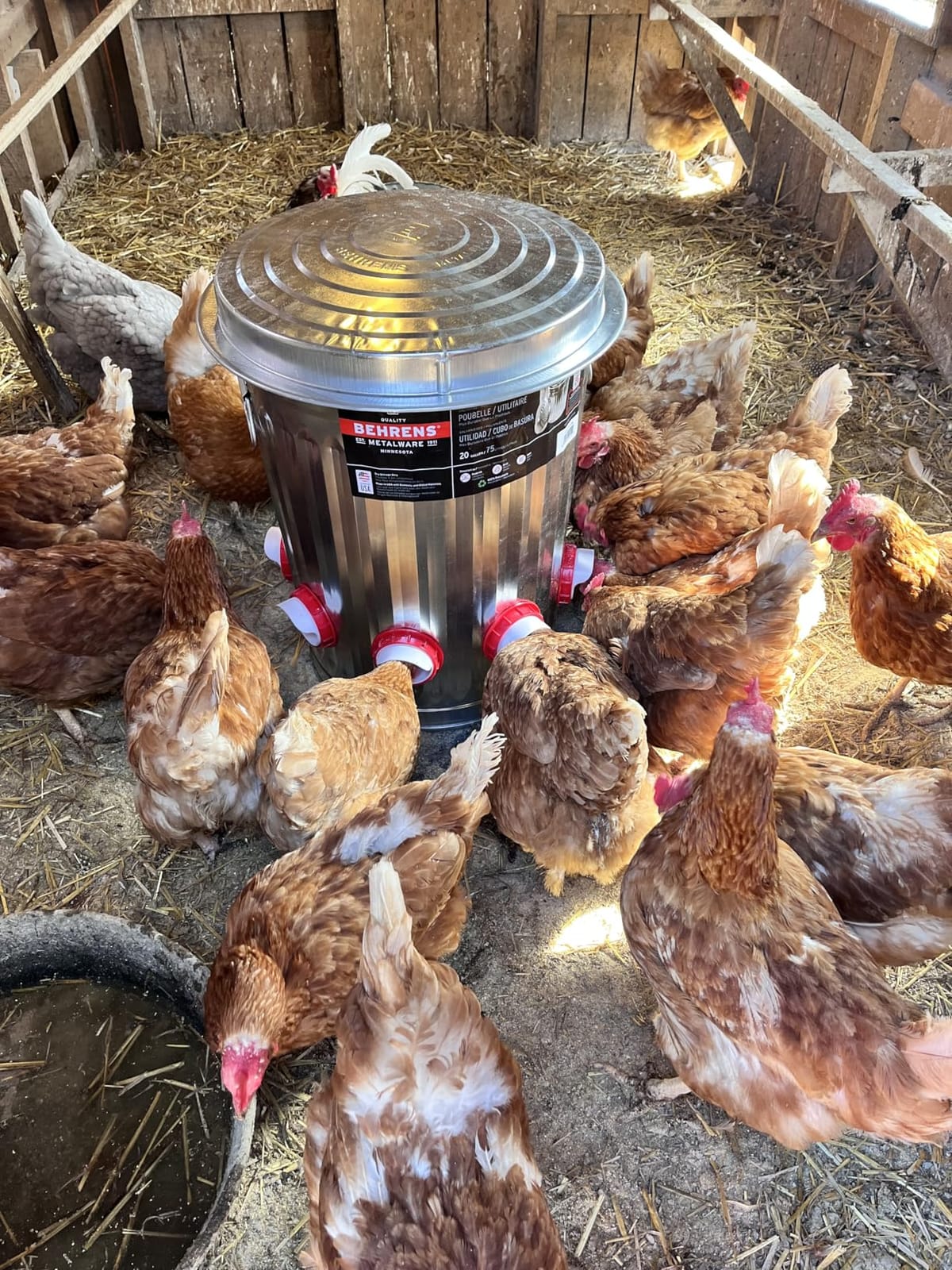 Chicken Feeders No Waste, DIY Automatic Poultry Feeder - 8 Ports Red customer photo 2