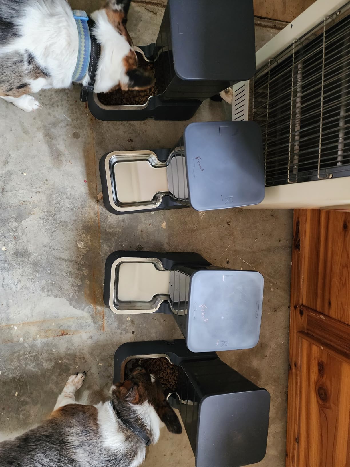 Meikuler Pets Auto Feeder 5.2L,Food Feeder and Water Dispenser Set for Medium & Large Dogs Cats and Pets Animals (Navy) customer photo 1