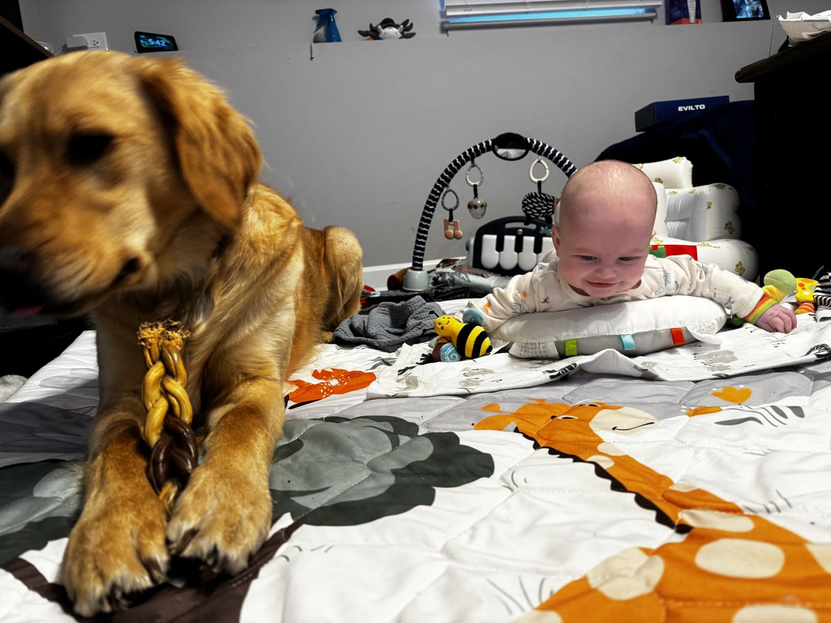 TINYHARBO Premium Foam Baby Play Mat 50