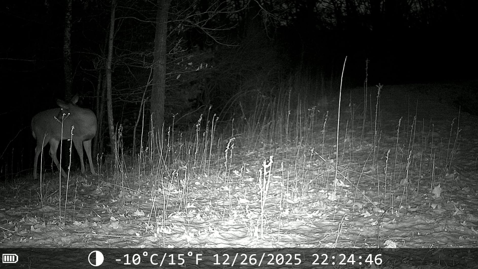 Trail Cameras with Night Vision Motion Activated - WiFi Bluetooth 4K 64MP customer photo 2
