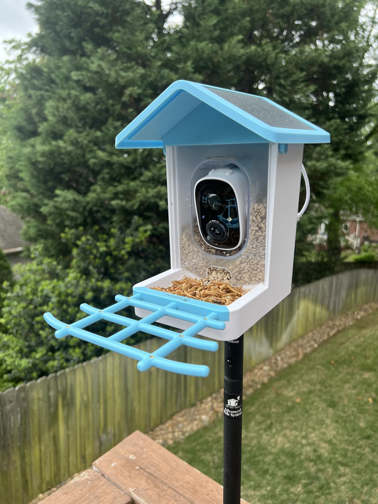 Solar Smart Bird Feeder with Camera, 2.5K HDR Live Video, AI Bird ID customer photo 2