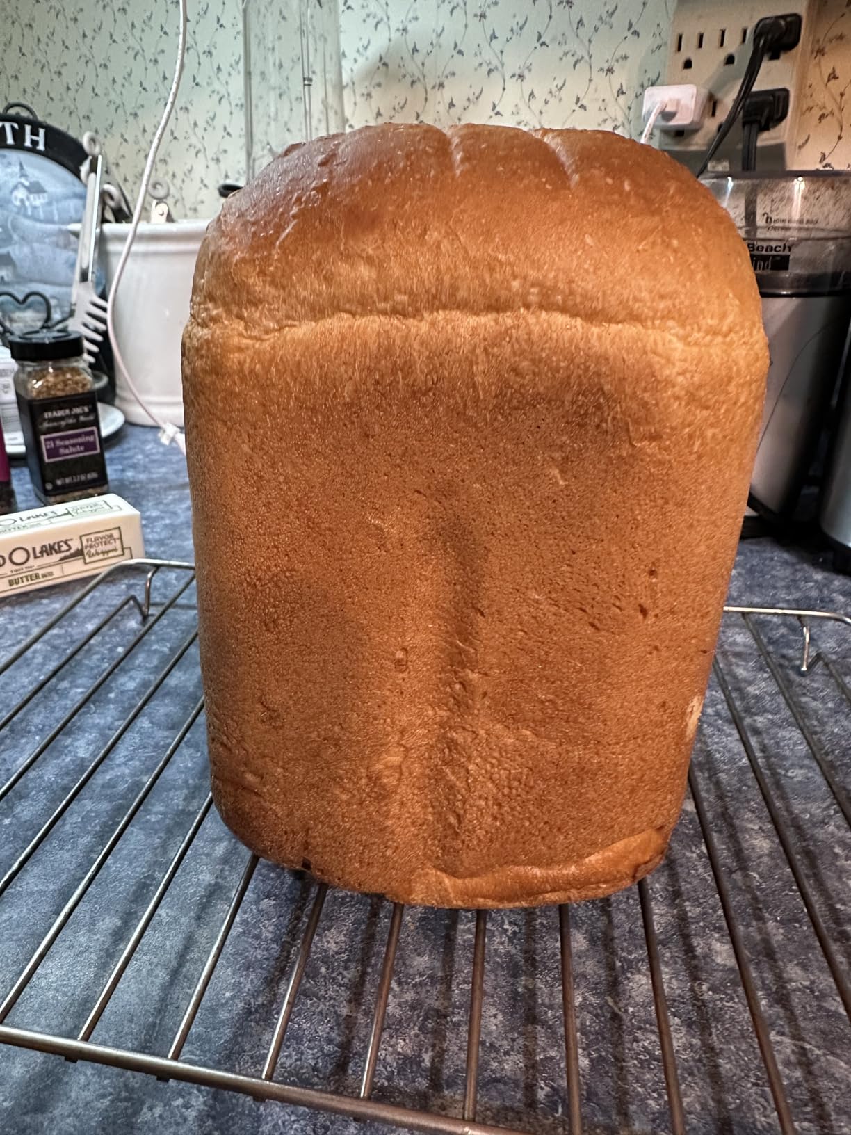 KITCHENARM 19-in-1 HANDY Bread Machine with Homemade Cycle and Gluten Free Setting - Beginner Friendly 2LB 1.5LB 1LB White Bread Maker Machine with Recipes and Delay Timer customer photo 2