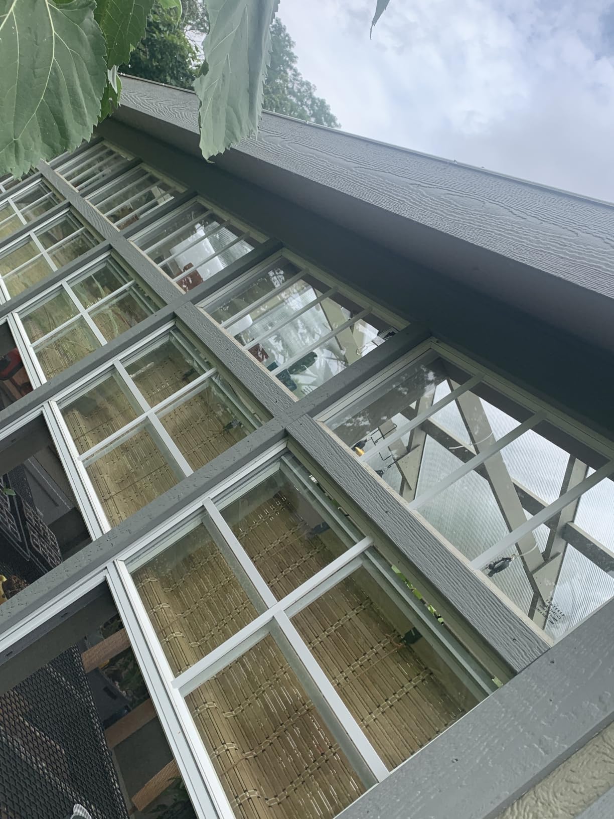 BAYUE Bamboo Blinds for Interior Windows, Roll Up Light Filtering, 23x48 in customer photo 2
