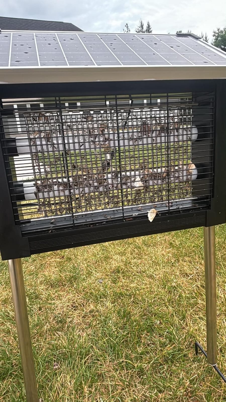OnBeam Solar Bug Zapper Outdoor, 4500V Mosquito Zapper Fly Trap for Patio customer photo 2