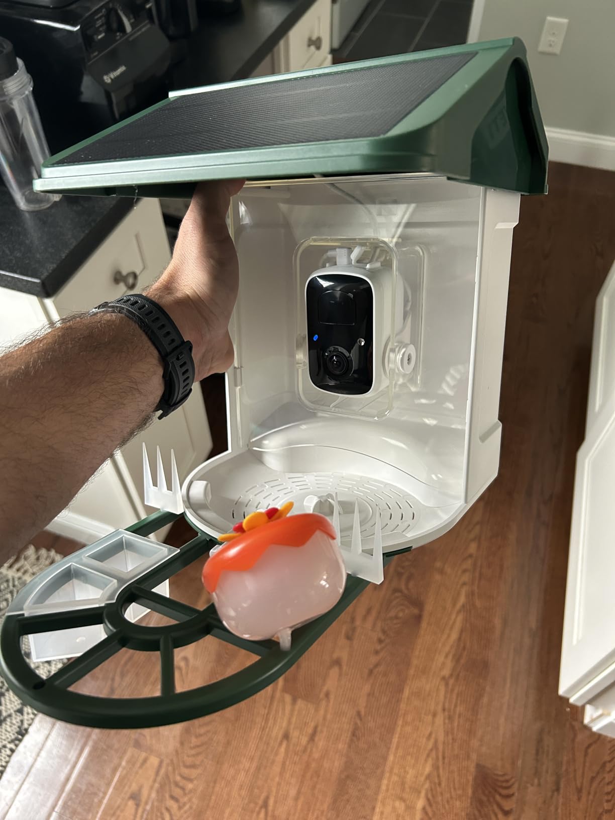 HARYMOR Bird Feeder with Camera, 2K Live Video, AI Identify Bird Species customer photo 1
