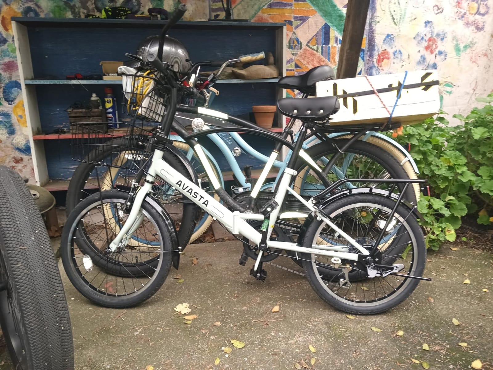 AVASTA Quartet Folding Bike, 20/24 Inch, 7-Speed, Dual Brakes customer photo 1