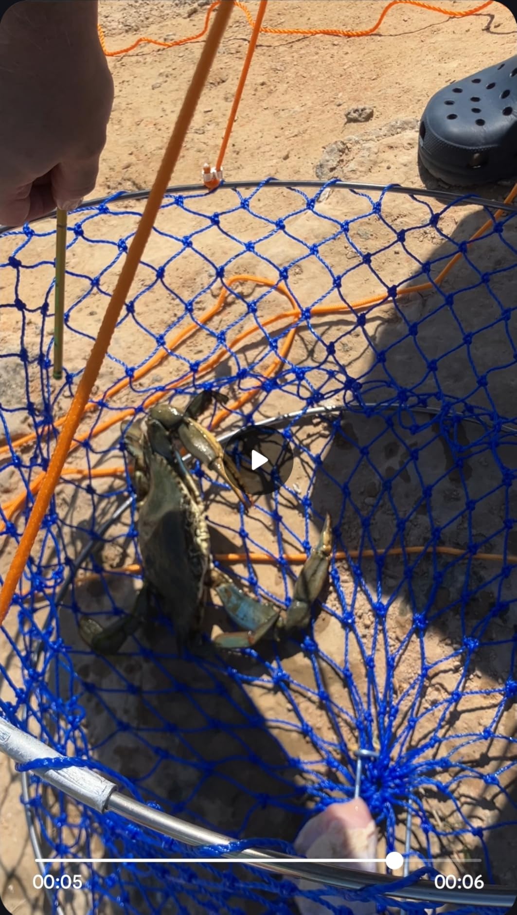 Stainless Crab Ring Trap Kit – Stainless Steel Crab Net with 100ft Rope, Bait Bag, Clip & Ruler – 24” Two-Ring Crab Trap for Dock & Pier Crabbing – Complete Recreational Crabbing Gear customer photo 1