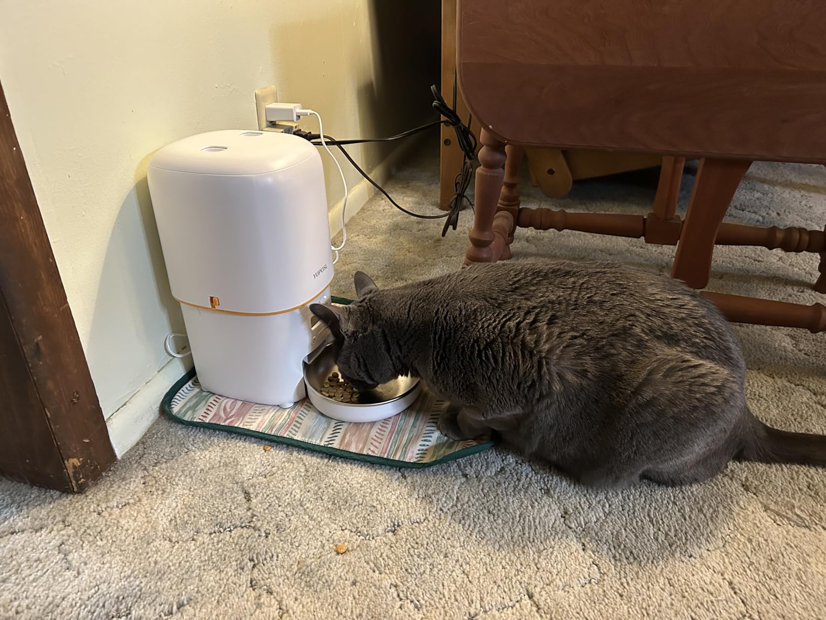 Automatic Cat Feeder, 3L Cat Food Dispenser with Anti-Jam Design, Over 180-day Battery Life, 1-6 Meals Per Day with Stainless Steel Cat Bowl, Keep Dry Food Fresh, Timed Pet Feeder Also for Small Dog customer photo 1