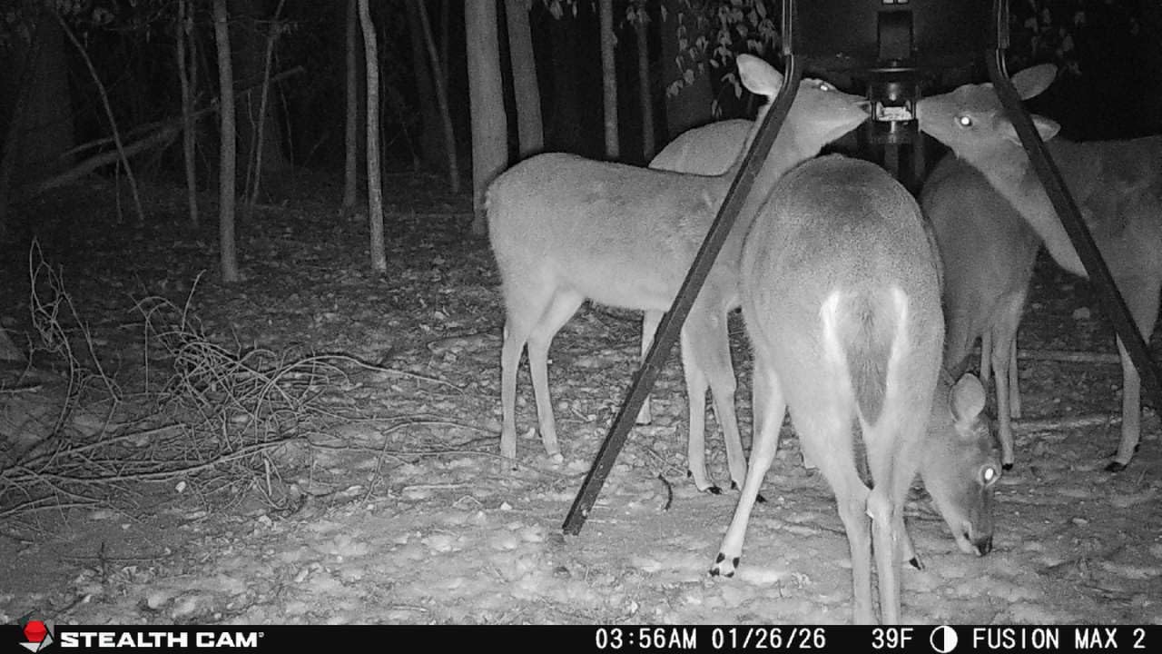 Moultrie 200 Lb Tripod Deer Feeder - Bluetooth App Control customer photo 2