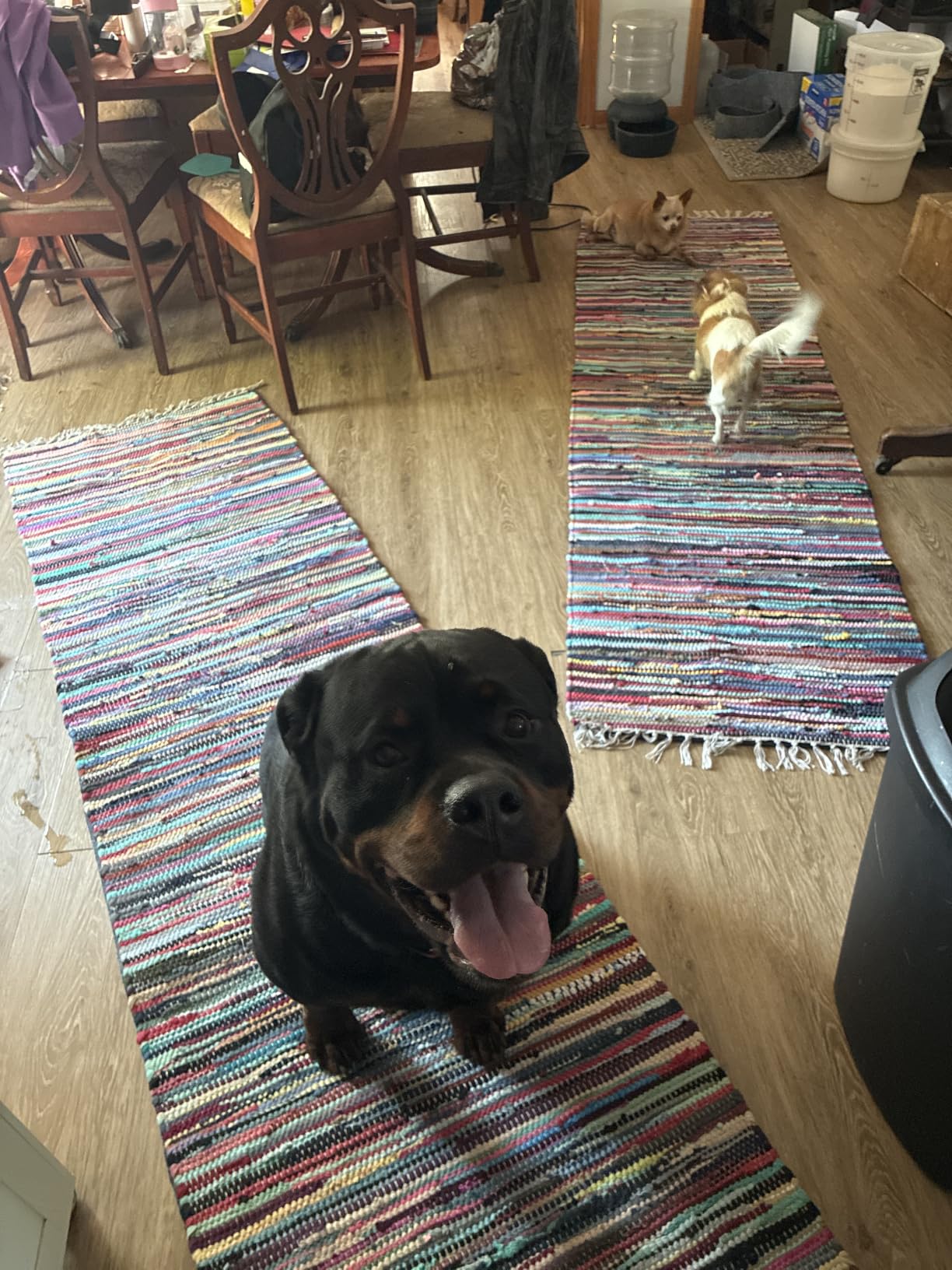 Veken Non Slip Cushioned Rug Pad Gripper, Felt and Silicone Backing, 8 x 10 Ft, 1/4 inch Thick Carpet Liner Protector Mat for Area Rugs and Hardwood Floors, with Over 99 Pcs Anti-Slip Strips Pattern customer photo 2