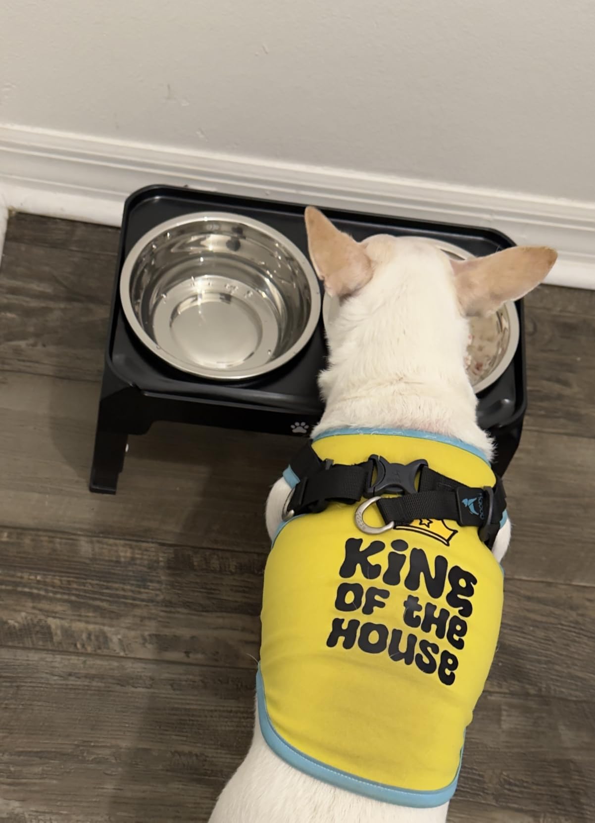 Elevated Dog Bowls for Large Dogs 5 Adjustable Heights 7.5