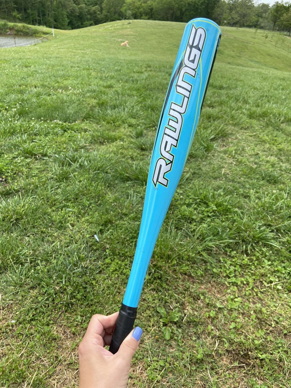 Rawlings | Raptor T-Ball Bat | USA | -12 Drop | 2 1/4