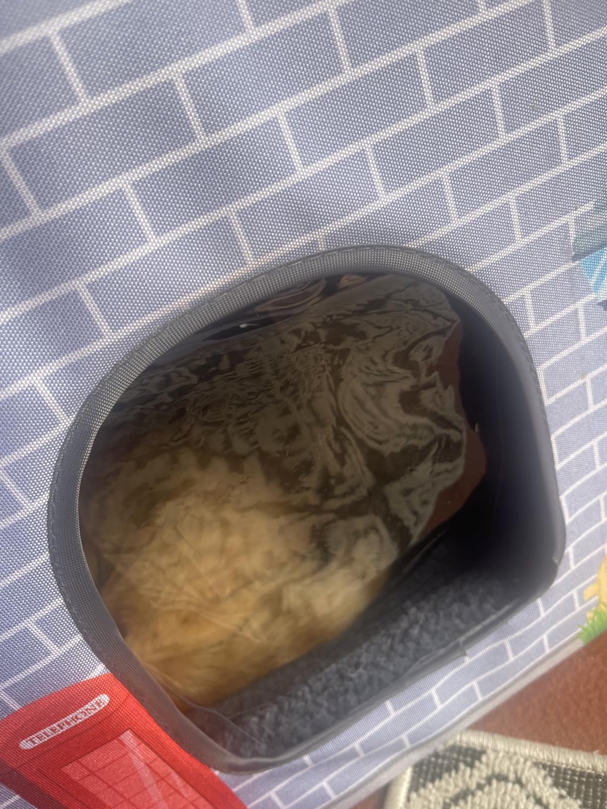 NAMOTEK Large Heated Cat Houses for Indoor/Outdoor Cats with Elevated Heated Cat Bed Waterproof， Insulated Providing Safe Feral Cats, Easy to Assemble Large (23