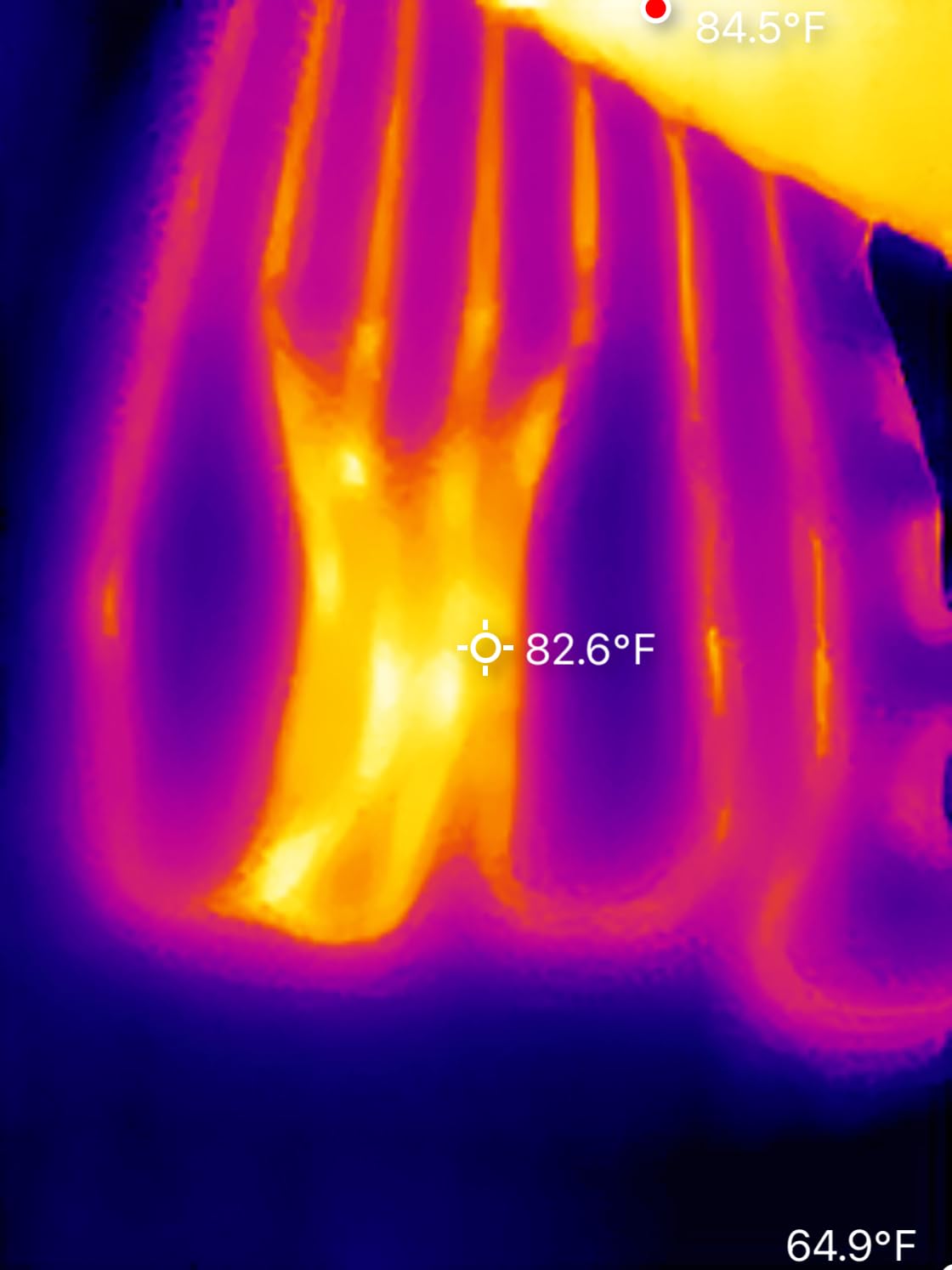 Thermal Master P1 Thermal Camera for USB-C iOS/Android, 320x240 Resolution customer photo 2