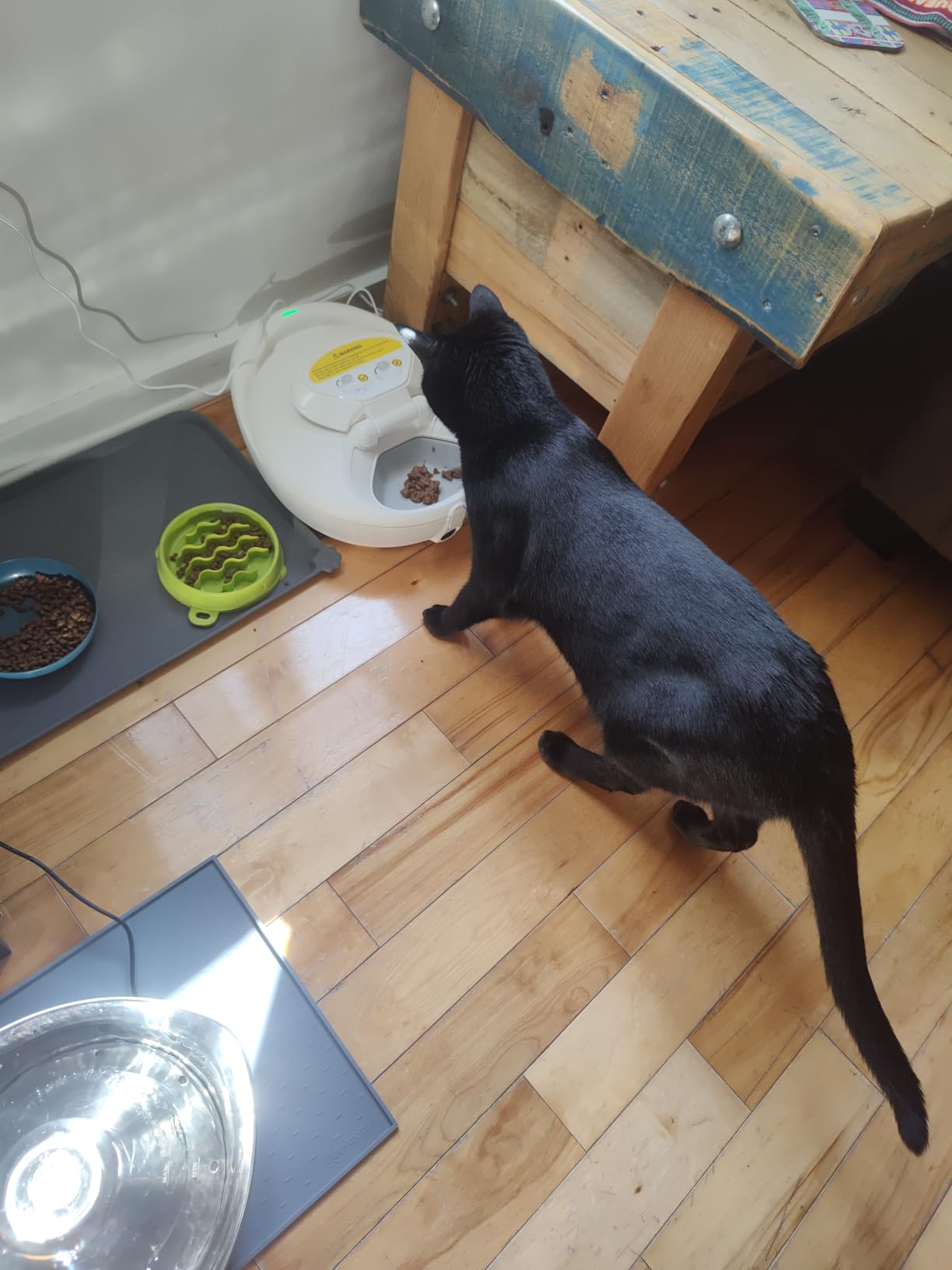 Automatic Wet Food Cat Feeder, 24H Food Freshness Smart Dual‑Temp Refrigerated Cat Feeder with Semiconductor Cooling & Pre‑Heating, App‑Controlled, Easy to Clean, 4‑Day Feeding Schedule customer photo 2